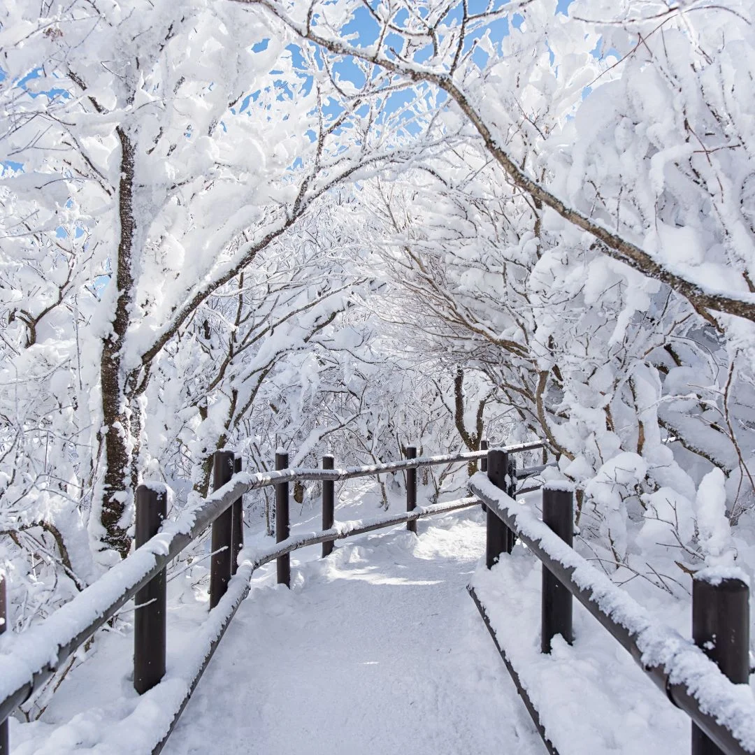 first nigerian winter in canada